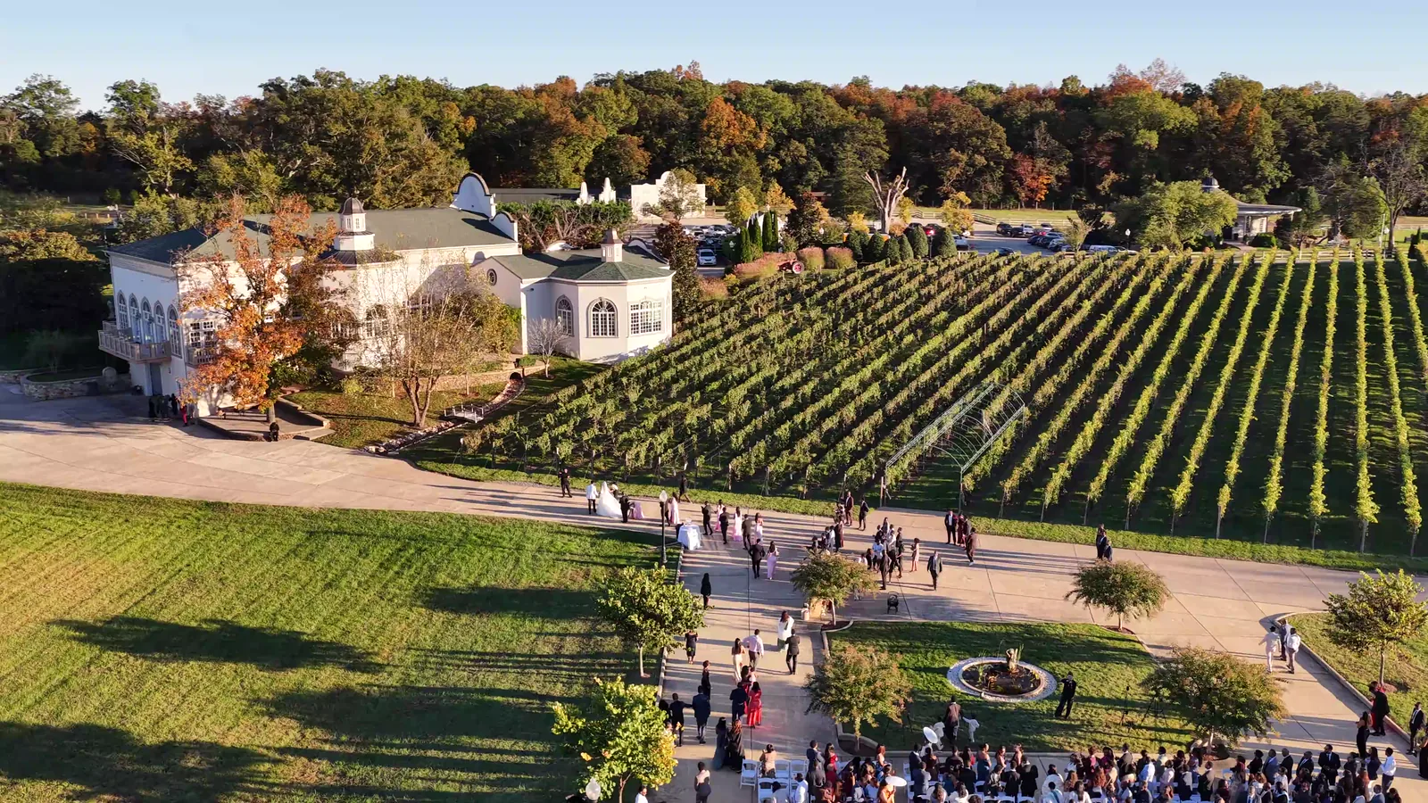 From the air in late-afternoon light: guests walking the path between the vineyard rows and the white main house, an autumn tree beside it